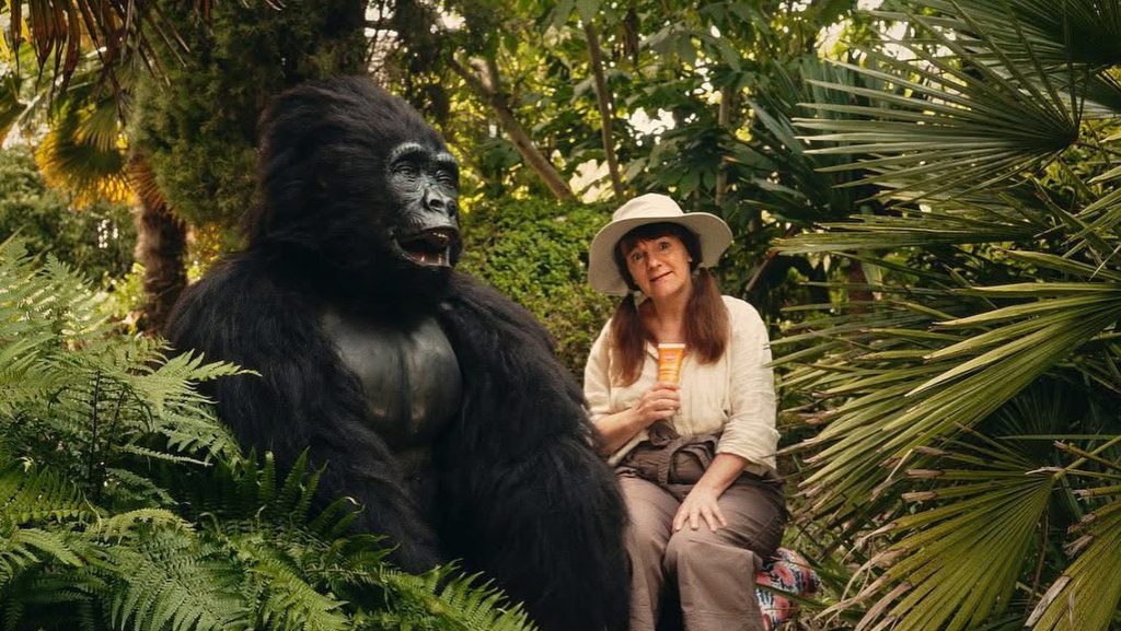 Animatronic Gorilla Hire